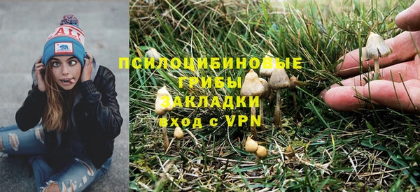 гидропоника Армянск