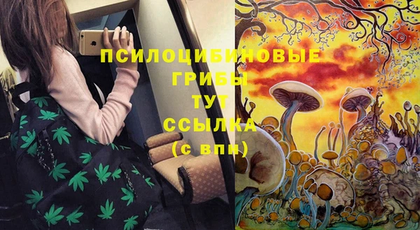 спайс Арсеньев