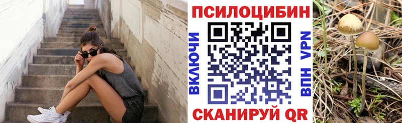 МЕГА зеркало  где продают наркотики  Теберда  Галлюциногенные грибы Magic Shrooms 